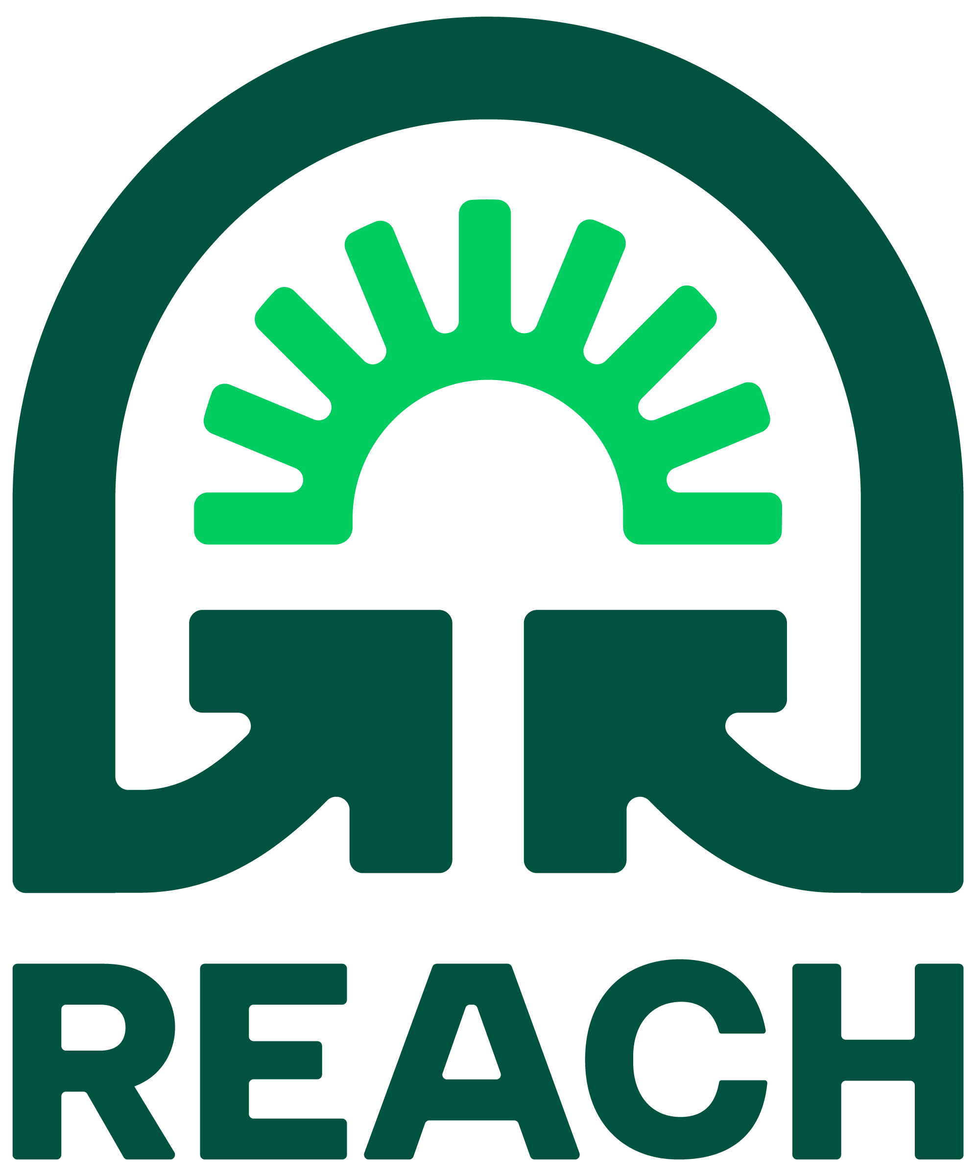 Reach Project logo